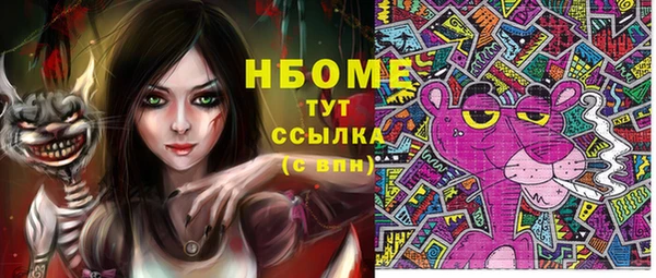 мдпв Арсеньев